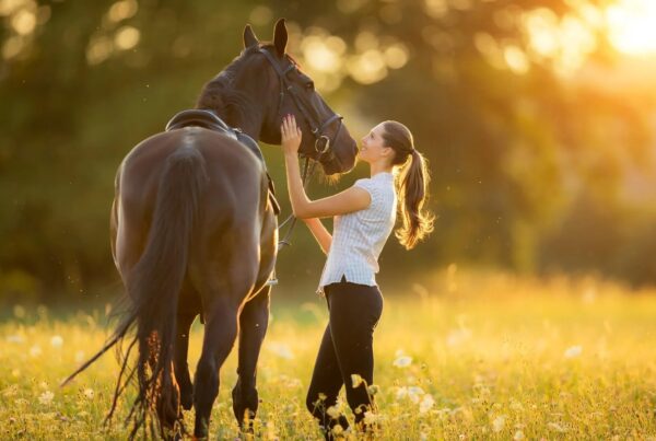 Texas-based stem cell therapy products can promote healing in dogs, cats, and horses.