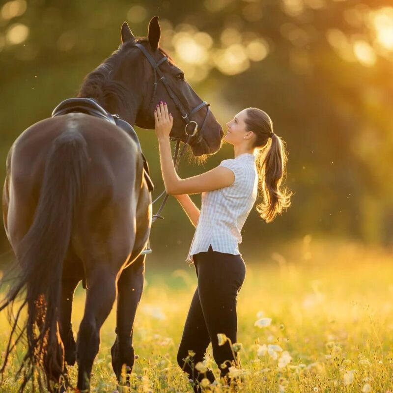 Texas-based stem cell therapy products can promote healing in dogs, cats, and horses.